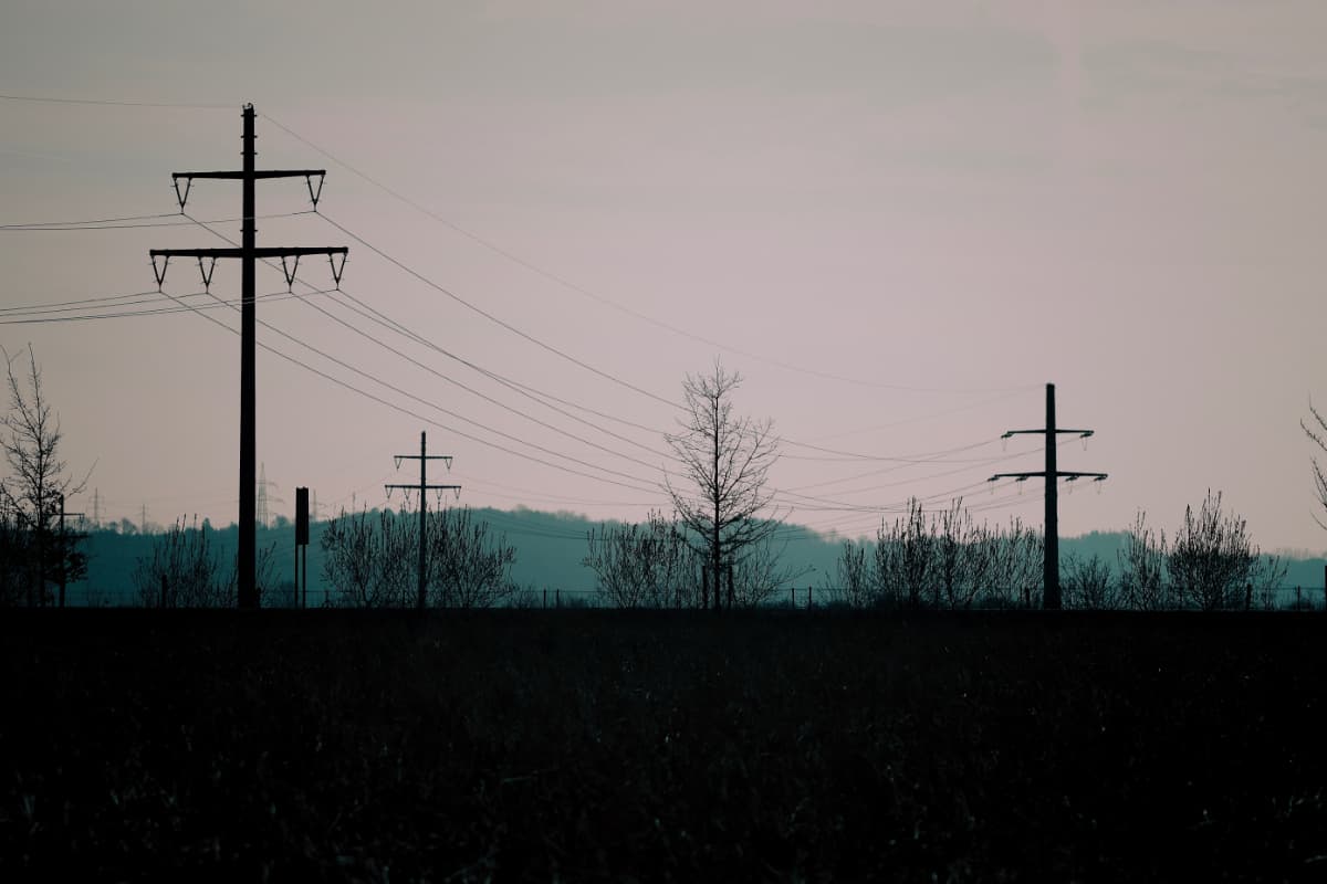 Gloomy photo of charred vegetation and silohuettes of utility power lines