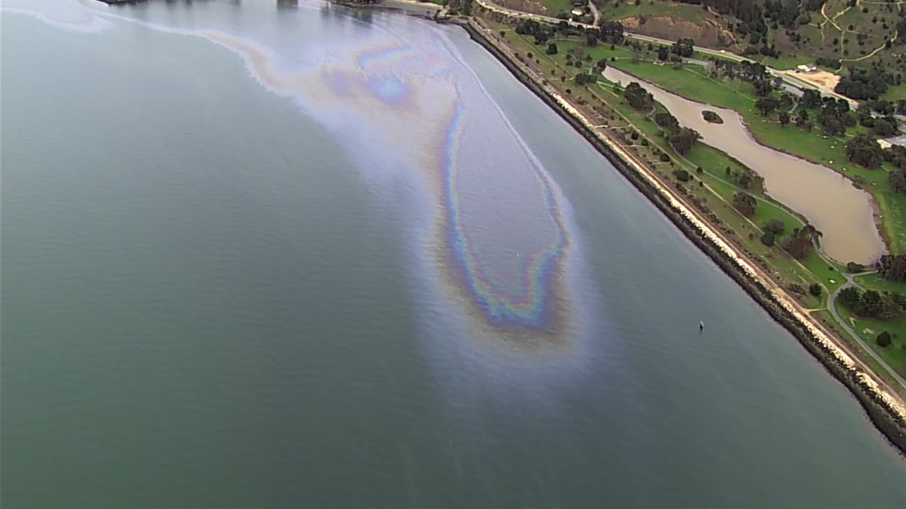 San Francisco Bay Oil Spill