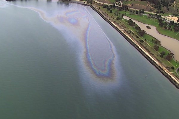 San Francisco Bay Oil Spill