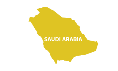 Image of Saudi Arabia similar to what you would see on a globe
