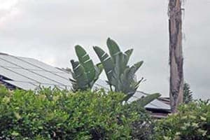 Photo of Hoffer solar panel installation in San Diego